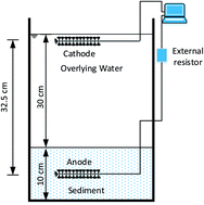 Graphical abstract: Improved biodegradation of total organic carbon and polychlorinated biphenyls for electricity generation by sediment microbial fuel cell and surfactant addition