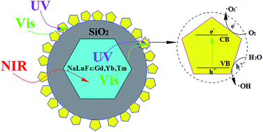 Graphical abstract: Improving photocatalytic activity by combining upconversion nanocrystals and Mo-doping: a case study on β-NaLuF4:Gd,Yb,Tm@SiO2@TiO2:Mo