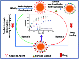 Graphical abstract: One pot synthesis of doxorubicin loaded gold nanoparticles for sustained drug release