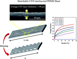 Graphical abstract: Piezoresistive behavior of a stretchable carbon nanotube-interlayered poly(dimethylsiloxane) sheet with a wrinkled structure