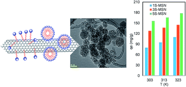 Graphical abstract: Grape-like mesostructured silica nanoparticle-decorated single-walled carbon nanotubes: silica growth and dye adsorptivity