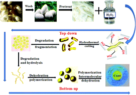 Graphical abstract: Using hydrogen peroxide to mediate through a one-step hydrothermal method for the fast and green synthesis of N-CDs