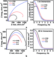 Graphical abstract: Inhibition and promotion of electrochemical reactions by graphene in organic coatings