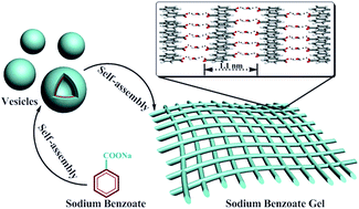 Graphical abstract: Controllable self-assemblies of sodium benzoate in different solvent environments