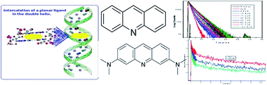 Graphical abstract: A spectroscopic study to decipher the mode of interaction of some common acridine derivatives with CT DNA within nanosecond and femtosecond time domains