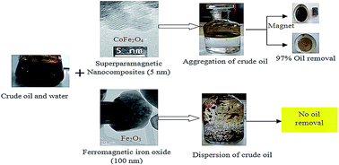 Graphical abstract: Conversion of iron oxide nanosheets to advanced magnetic nanocomposites for oil spill removal