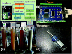 Graphical abstract: A dielectric loss angle based portable biosensor system for bacterial concentration detection