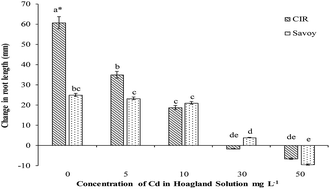 Graphical abstract: Growth responses and accumulation of cadmium in switchgrass (Panicumvirgatum L.) and prairie cordgrass (Spartinapectinata Link)