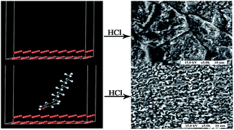 Graphical abstract: Insights into the corrosion inhibition of copper in hydrochloric acid solution by self-assembled films of 4-octylphenol