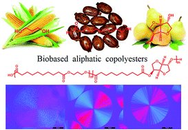 Graphical abstract: Biobased copolyesters from renewable resources: synthesis and crystallization kinetics of poly(propylene sebacate-co-isosorbide sebacate)