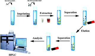 Graphical abstract: Preparation of molecularly imprinted polymers based on magnetic carbon nanotubes for determination of sulfamethoxazole in food samples