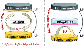 Graphical abstract: Taming the polysulphide shuttle in Li–S batteries by plasma-induced asymmetric functionalisation of the separator