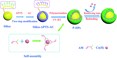 Graphical abstract: Preparation of core–shell ion imprinted nanoparticles via photoinitiated polymerization at ambient temperature for dynamic removal of cobalt in aqueous solution