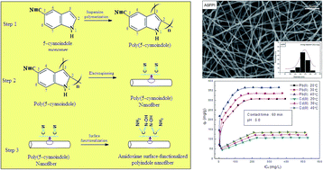 Graphical abstract: Preparation of amidoxime surface-functionalized polyindole (ASFPI) nanofibers for Pb(ii) and Cd(ii) adsorption from aqueous solutions