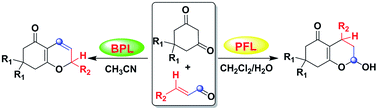 Graphical abstract: Lipase-catalyzed regioselective domino reaction for the synthesis of chromenone derivatives