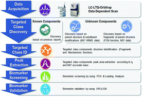 Graphical abstract: LTQ-Orbitrap-based strategy for traditional Chinese medicine targeted class discovery, identification and herbomics research: a case study on phenylethanoid glycosides in three different species of Herba Cistanches