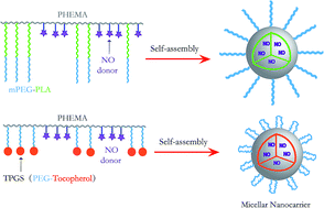 Graphical abstract: Nitric oxide-releasing graft polymer micelles with distinct pendant amphiphiles