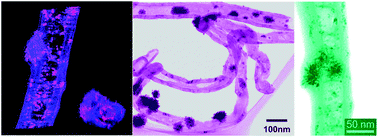 Graphical abstract: Enhancement of the catalytic performance of a CNT supported Pt nanorod cluster catalyst by controlling their microstructure