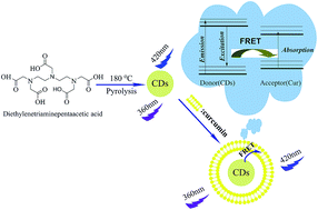 Graphical abstract: Facile synthesis of fluorescent carbon dots for determination of curcumin based on fluorescence resonance energy transfer