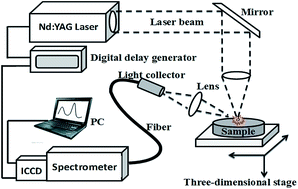 Graphical abstract: The application of laser-induced breakdown spectroscopy in domestic detergent residues detection