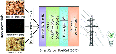 Graphical abstract: Assessment of biochar as feedstock in a direct carbon solid oxide fuel cell