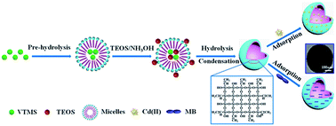 Graphical abstract: Adsorptions of Cd(ii) and methylene blue from aqueous solution by silica hybrid hollow spheres