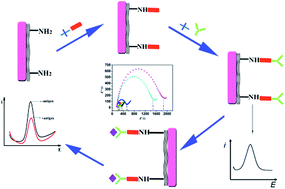 Graphical abstract: Rapidly accomplished femtomole soluble CD40 ligand detection in human serum: a “green” homobifunctional agent coupled with reduced graphene oxide-tetraethylene pentamine as platform