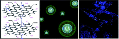 Graphical abstract: In vitro nucleus nanoprobe with ultra-small polyethylenimine functionalized graphene quantum dots