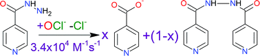 Graphical abstract: Kinetics of the oxidation of isoniazid with the hypochlorite ion