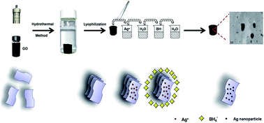 Graphical abstract: Novel synthesis of silver/reduced graphene oxide nanocomposite and its high catalytic activity towards hydrogenation of 4-nitrophenol