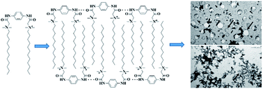 Graphical abstract: Synthesis and physiochemical properties of novel gemini surfactants with phenyl-1,4-bis(carbamoylmethyl) spacer