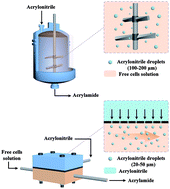 Graphical abstract: Visual study of mass transfer characterization in the process of biological catalytic hydration of acrylonitrile using pendant drop method