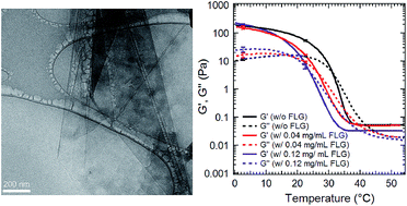 Graphical abstract: Effect of graphene on the self-assembly and rheological behavior of a triblock copolymer gel