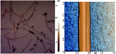 Graphical abstract: Horizontal growth of MoS2 nanowires by chemical vapour deposition