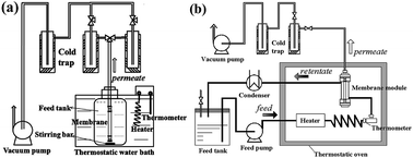 Graphical abstract: Microwave synthesis of high-flux NaY zeolite membranes in fluoride media