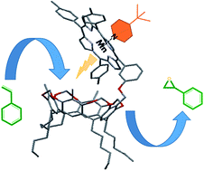 Graphical abstract: Effect of the resorcin[4]arene host on the catalytic epoxidation of a Mn(iii)-based resorcin[4]arene–metalloporphyrin conjugate