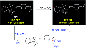 Graphical abstract: A highly sensitive hemicyanine-based fluorescent chemodosimeter for mercury ions in aqueous solution and living cells