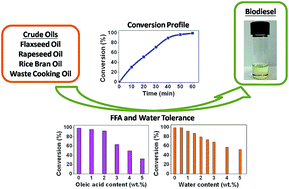 Graphical abstract: Heterogeneous alkaline earth metal–transition metal bimetallic catalysts for synthesis of biodiesel from low grade unrefined feedstock