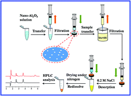 Graphical abstract: Nano-Al2O3-based micro solid-phase filter membrane extraction for simultaneous determination of tartrazine and sunset yellow in food