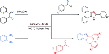 Graphical abstract: ZrO2-β-cyclodextrin catalyzed synthesis of 2,4,5-trisubstituted imidazoles and 1,2-disubstituted benzimidazoles under solvent free conditions and evaluation of their antibacterial study