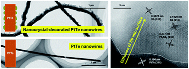 Graphical abstract: Selective decoration of nanocrystals on single-crystalline PtTe nanowires based on a solid-state reaction