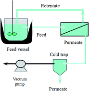 Graphical abstract: Synthesis and characterization of polyurethane/poly(vinylpyridine) composite membranes for desulfurization of gasoline