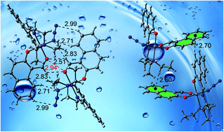 Graphical abstract: Observation of novel oxygen⋯oxygen interaction in supramolecular assembly of cobalt(iii) Schiff base complexes: a combined experimental and computational study