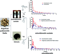 Graphical abstract: The pharmacokinetics, bioavailability and excretion of columbianetin acetate and its metabolite columbianetin were analysed in rat plasma by LC-MS/MS after administration of columbianetin acetate and Angelicae pubescentis radix extract