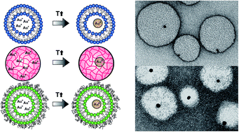 Graphical abstract: Formation of lipid and polymer based gold nanohybrids using a nanoreactor approach