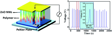 Graphical abstract: A ZnO nanowire/PANIPAM hybrid energy converter driven by temperature oscillation