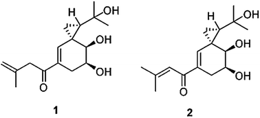 Graphical abstract: Pestalotriols A and B, new spiro[2.5]octane derivatives from the endophytic fungus Pestalotiopsis fici