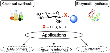Graphical abstract: β-Xylopyranosides: synthesis and applications