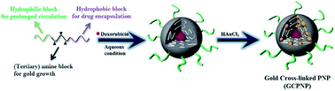 Graphical abstract: A versatile gold cross-linked nanoparticle based on triblock copolymer as the carrier of doxorubicin