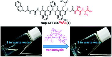 Graphical abstract: Visualized detection of vancomycin by supramolecular hydrogelations